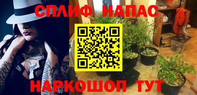 молекула духа Можайск