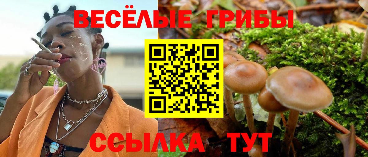 Псилоцибиновые грибы Magic Shrooms  Галлюциногенные грибы Magic Shrooms  Вход с VPN  Геленджик 